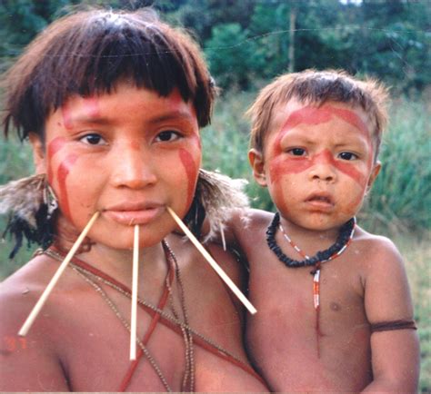 Oct 16, 2010 · some people have been critical of indigenous peoples' treatment of the environment, noting examples such as the deforestation of easter island or the disappearance of large animals from parts of america and australia caused by native people. South American tribes on verge of extinction due to ...