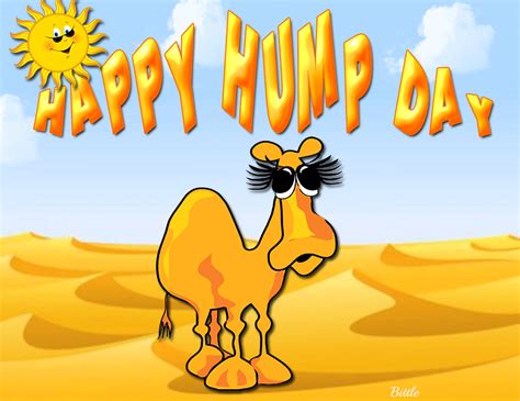 Funny camel hump day guess what day it is mike! Happy Hump Day Quote With Camel Pictures, Photos, and ...