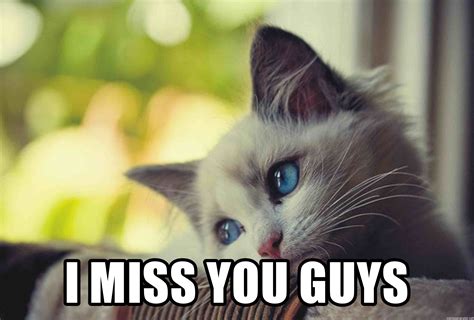 We did not find results for: I miss you guys - Missing you kitty | Meme Generator