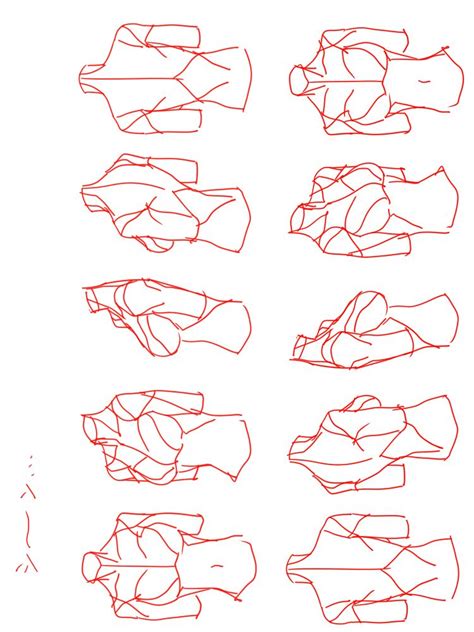 There are seven cervical vertebrae in the neck, 12. Upper Torso 3 | Torso, Anatomy, Upper