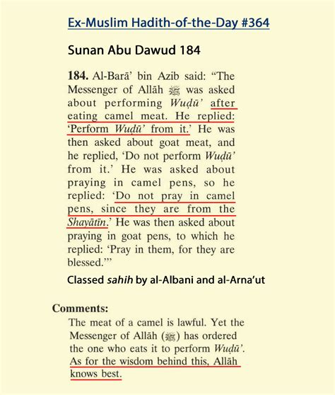 It is drunk and used in various ways. HOTD 364: Muhammad commands ablution after eating camel ...