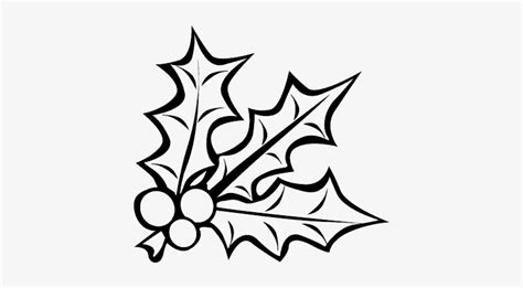 Another fun activity is coloring! Mistletoe - Mistletoe Coloring Pages Transparent PNG ...