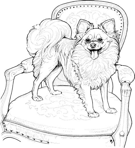 Dogs do really funny things and they are always happy to see us! Dog Breed Coloring Pages