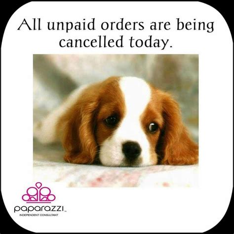 Paparazzi, bags/totes, trendy boutique jewelry, trucker caps, phone grips, and more!… All Unpaid Paparazzi orders are being cancelled today ...