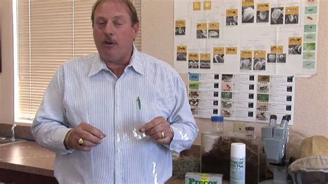 How To Use Borax Get Rid Of Fleas In Carpet | Review Home Co