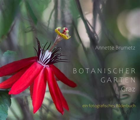 Zunächst war die geschichte des botanischen gartens von graz eng mit der des 1811 gegründeten joanneums verknüpft. Botanischer Garten Graz by Annette Brumetz | Blurb Books