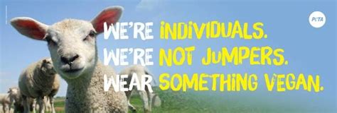 Help stop one of the largest pig factory farms in australia from being built petaau.vg/1n8. PETA Australia unveils anti-wool campaign - Ragtrader