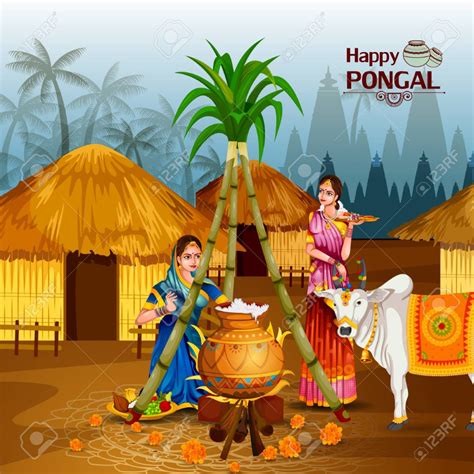 A special occasion of feasting and celebration, feasts have long been used by. Stock Vector in 2020 (With images) | Happy pongal, Happy ...