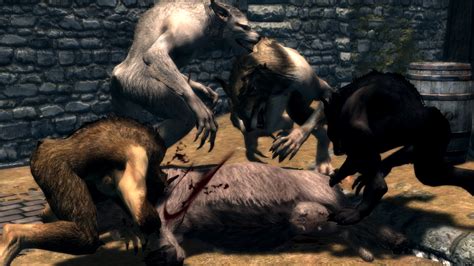 Poor cow at Skyrim Nexus - mods and community