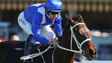 Området var hjemsted for et par velhavende. Winx to make cameo at Randwick, Chelmsford Stakes Day ...