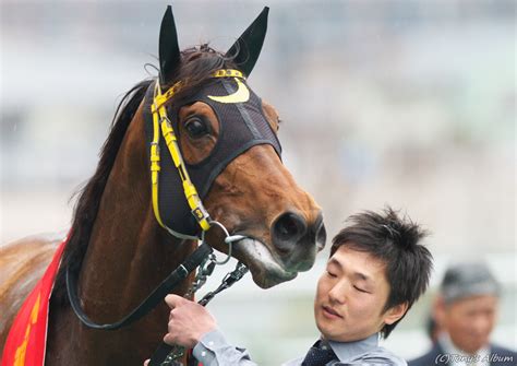 1773 pages · 2016 · 208.37 mb · 4,163 downloads· chinese. Tonyの競馬写真ブログ 第59回阪神大賞典