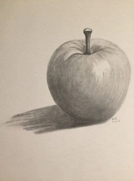 Free download drawn with a pencil fruit in the amount of 52 pieces and format.eps.jpeg. Pin von Jojo _jo auf الرسم | Apfel zeichnen, Stillleben ...