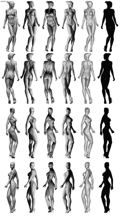 See more ideas about drawing reference, anatomy drawing, anatomy. Female_Scan_03.jpg (2019×3652) | Female anatomy reference ...