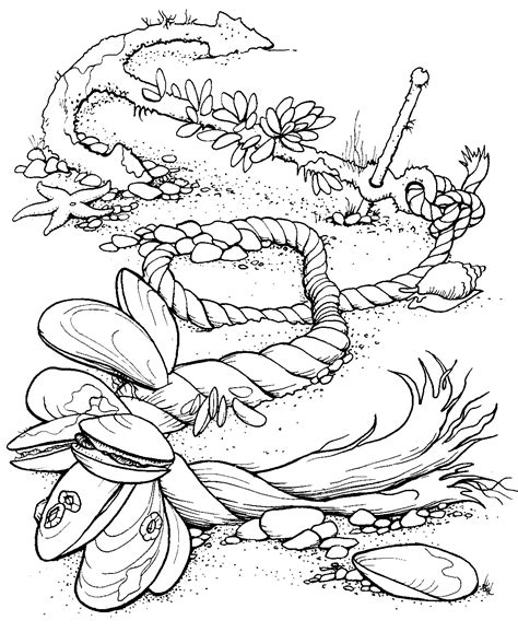 Dolphin coloring pages from red ted art (two designs). ocean color pages coloring pictures imagixs | Ocean ...