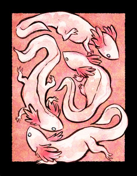 Easy drawing guides > animal , cartoon , easy. cryptovolans: I dunno what I'm doing anymore, kay axolotls ...