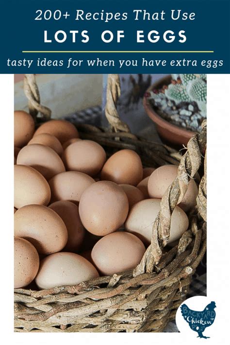 Use up your extra eggs without getting bored! 200+ Recipes that Use a LOT of Eggs