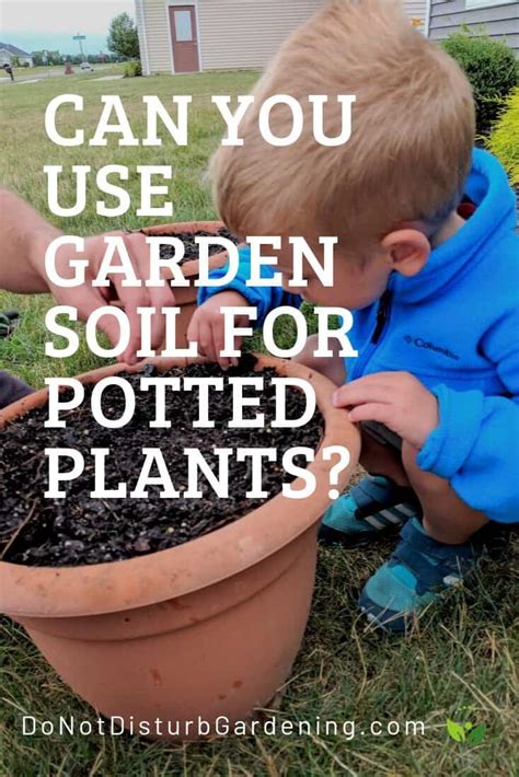 Alternatively, for larger lawns, use powered tools. Can You Use Garden Soil for Potted Plants? - Do Not ...