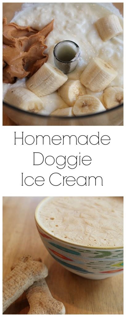 Can cats eat dog ice cream? Homemade Doggie Ice Cream - All Created