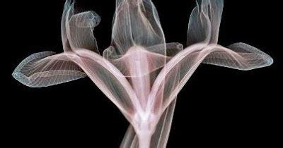 What does sexually frustrated mean? KNOWING OURSELVES: What does the body want to tell us with ...