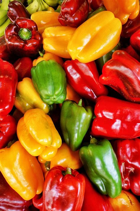 Peppers Free Stock Photo - Public Domain Pictures