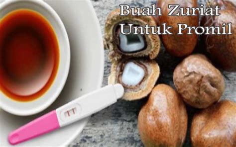 Buah zuriat kembar (tentu 2 buah) hanya rp. Manfaat dan Khasiat Archives - Buah Zuriat