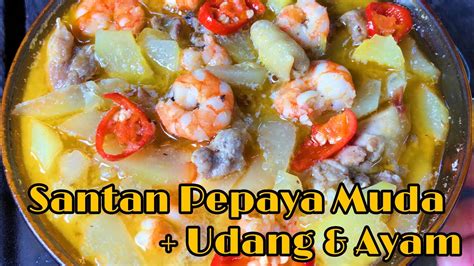 Tambahkan daun jeruk, aduk semua bahan. Resep Santan Pepaya Muda, Udang & Ayam Enak 2020 - YouTube