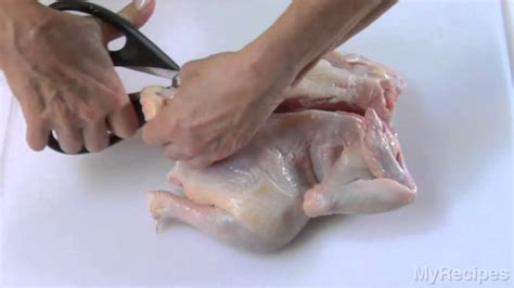 Run the meat pieces through the yogurt and coat it lightly. How To Butterfly Chicken | MyRecipes - YouTube