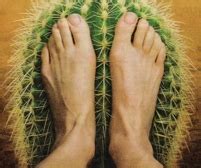 In such cases simply using a pair of tweezers will not be effective in cactus needle removal. I was a Sugar Guinea Pig --- an Inadvertent Medical Experiment