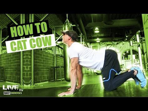 Try these to open up the spine, specifically mid back and the chest wall. How To Do A CAT COW | Exercise Demonstration Video and ...
