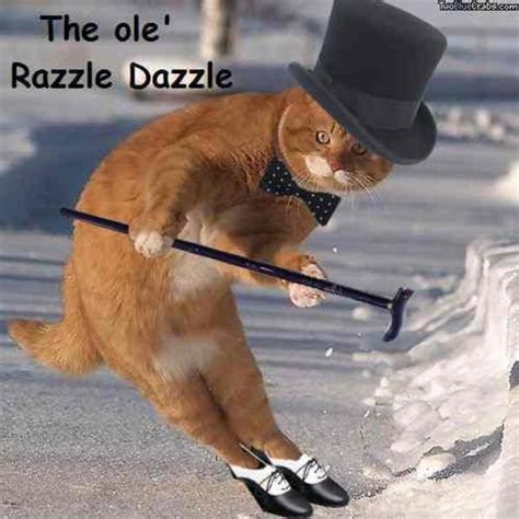 Learn vocabulary, terms and more with flashcards, games and other study tools. Cat | The Ol Razzle Dazzle | Know Your Meme