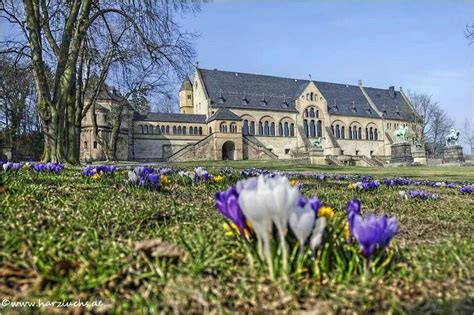 Provisionsfrei oder vom makler dabei variiert der wohnungsmarkt je nach kaltmiete, größe & ausstattung! Frühling in Goslar | Goslar, Harz