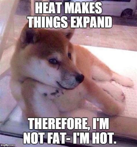 Humor can make dark moments light, awkward moments much more comfortable, and life moments all around better. Pin by Saying Images on THINGS MY HUSBAND SENDS TO ME ...