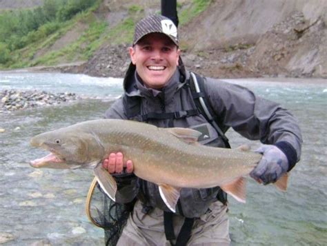 Sea otters aren't only heftier than river otters—their fur is also quite distinguishable. Wigwam River Bull Trout www.simmsfishing.com | Fly fishing ...