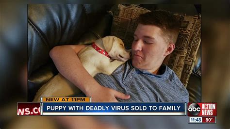 I am just a good country. Puppy with deadly virus sold to family on Craigslist, Pasco County family says
