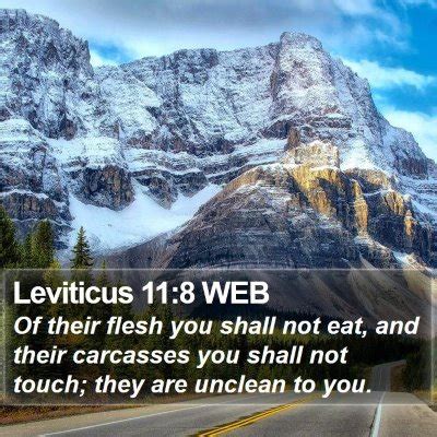 The first clause of v. Leviticus 11 Scripture Images - Leviticus Chapter 11 WEB ...