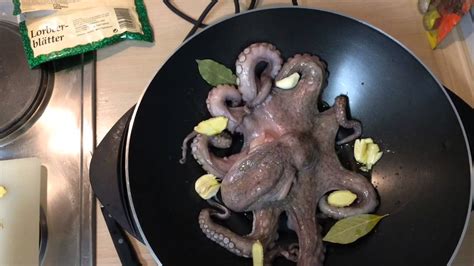 7 rezepte für tintenfisch pulpo. Zubereitung eines Pulpo - Tintenfisch - YouTube