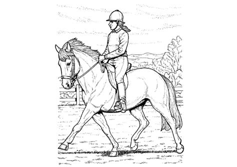 Pferde ausmalbilder, das schã¶ne pferd, das sie hier sehen, ist das arabische pferd, eine pferderasse, die. Ausmalbilder Pferde 13 | Ausmalbilder