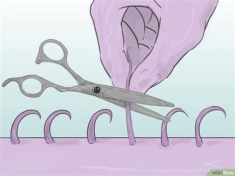 I think guys shave their pubic hairs is because they are gay. How To Shave Your Pubic Hair : How To Shave Pubic Hair Men Advice And Guidance : Over the years ...