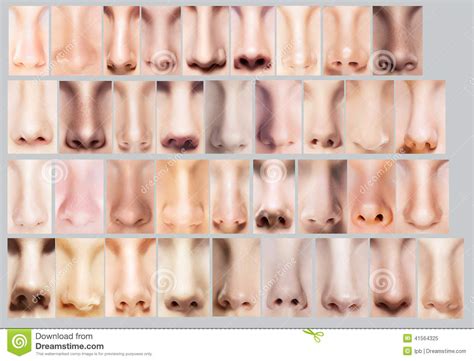 A woman shows others that she is aroused by lightly stroking various parts of her body. Women Body Parts Photos - Human Anatomy Body
