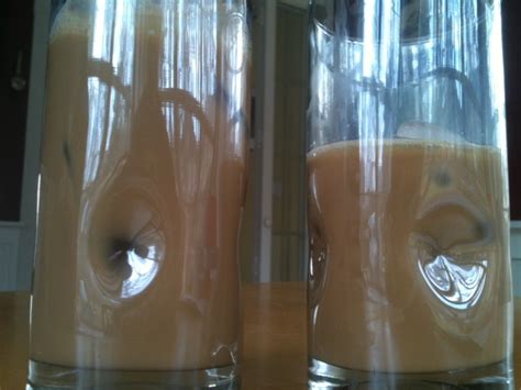This is a pretty quick and easy drink to have. International Delight Light Iced Coffee Review and taste ...