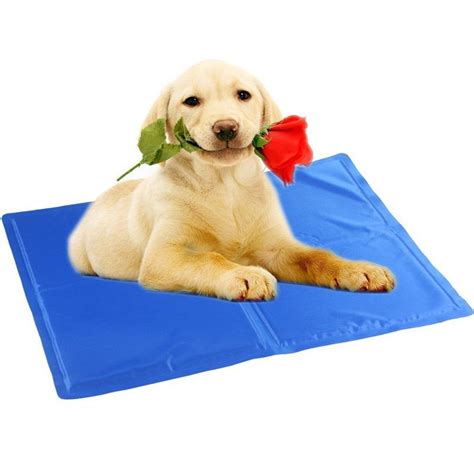 The best cooling mattress pad reviews could be the difference between comfort. Portable Dog Cooling Mattress Mat Ice Pad Teddy Summer ...