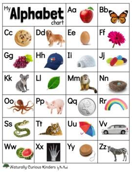 Alphabet a (ex google) aktie und aktueller aktienkurs. Alphabet Chart - Real Pictures by Naturally Curious Kinders | TpT