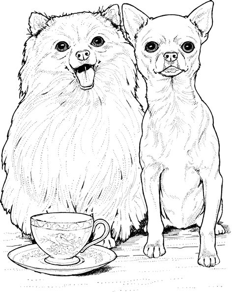 We are giving you some bulldog coloring pages and some dog coloring pages for you to download. Dog Breed Coloring Pages at GetDrawings | Free download