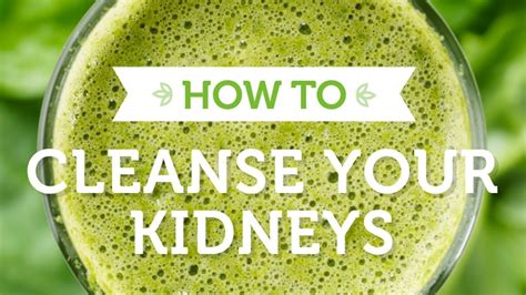 Experts do not recommend drinking cactus juice before taking daily medications. 5 Tips You Can Cleanse Your Kidneys - Know How?