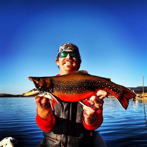 Montana's duck lake lodge is located minutes from two entrances into glacier national park and 2 miles west of world reknown duck lake. "A Handsome Char" by Trevor Johnson of Kit's Tackle ...