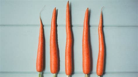 Bohl says this hypothesis isn't backed up by science, it's definitely. 8 Foods for Your Penis's Blood Flow, T-Levels, and Sperm Count