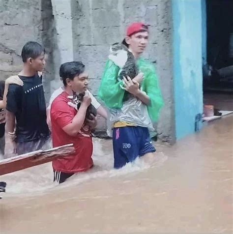 Surbana jurong build homes, design cities, and improve infrastructure for sustainable industrial development and urban living. Torrential rain caused major flash flood in Jakarta. : pics