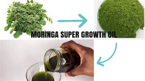 There are specific oils available for every hair type and you must find one that suits you the best. MORINGA SUPER HAIR GROWTH OIL FOR HEALTHIER, SHINIER ...