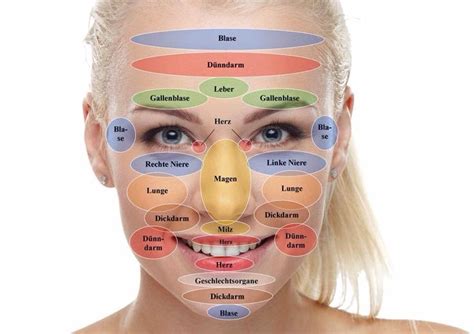 Beim face mapping wird das gesicht zur landkarte: Wellness für die Gesichtszonen! Die Erkenntnis, dass im ...