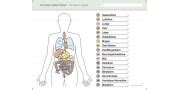 Quizlet is the easiest way to study, practise and master what you're learning. Set: Ich kenne meinen Körper - Die inneren Organe